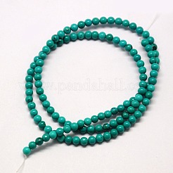 Natürliche Magnesitperlenstränge&nbsp;TURQ-L019-2mm-01