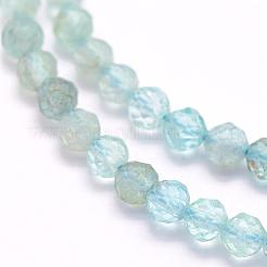 Perline apatite naturale fili&nbsp;G-I156-05-3mm