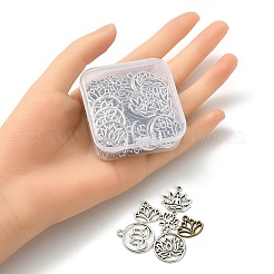 60pcs 6 pendentifs en alliage de style tibétain&nbsp;TIBE-YW0001-31