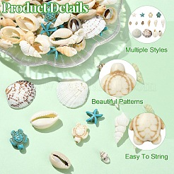 Kit fai da te per realizzare gusci di stelle marine e tartarughe marine&nbsp;DIY-YW0017-07
