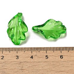 Transparenten Acryl-Anhänger&nbsp;OACR-E039-69E