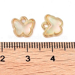 Rack-Plating-Legierungsglas-Charms&nbsp;FIND-Q099-07G-07