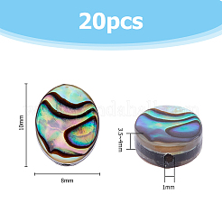20 Stück Abalone-Muschel/Paua-Muschelperlen&nbsp;SSHEL-FI0001-03