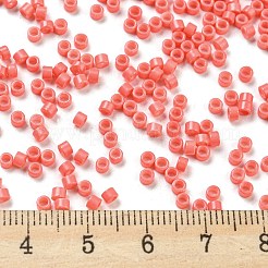 Perle di vetro per la cottura di vernici&nbsp;SEED-S042-05A-31