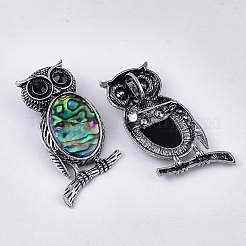 Concha de abulón / broches de concha de paua / colgantes&nbsp;X-RESI-S376-12