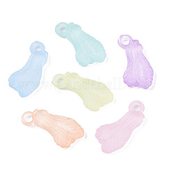 Transparenten Acryl-Anhänger&nbsp;TACR-S134-031