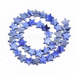 Chapelets de perles en coquille d'eau douce &nbsp;SHEL-S276-31B