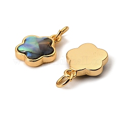 Natürliche Paua-Muschel-Stern-Charms&nbsp;KK-G538-28G