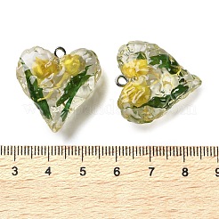Anhänger aus transparentem Harz mit getrockneten Blumen&nbsp;LS-RESI-A043-03A