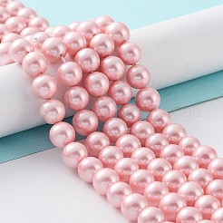 Shell-Perle Perle Stränge&nbsp;BSHE-L025-06-8mm