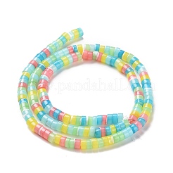 Natur trochid Muschelperlen Stränge&nbsp;SSHEL-G023-02C-01
