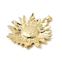 Messing Anhänger & Charms&nbsp;KK-H267-045-G