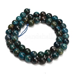 Natur Chrysokoll Perlen Stränge&nbsp;G-G475-A03-8mm