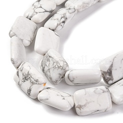Chapelets de perles en howlite naturelle&nbsp;G-T047-B23-01
