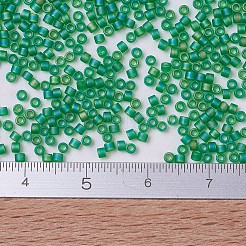 Miyuki Delica Perlen&nbsp;SEED-MY11-DB0858