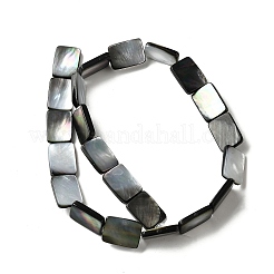 Natur schwarz Lippe Shell Perlen Stränge&nbsp;BSHE-D300-03-13x18mm