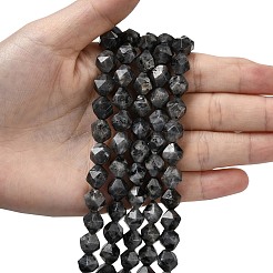 Brins de perles de larvikite naturelles&nbsp;G-Z119-A32-03