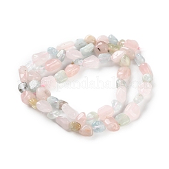 Naturperlen Stränge morganite&nbsp;G-P497-01C-57