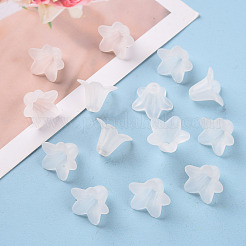 Perles en acrylique transparente&nbsp;PLF018-01
