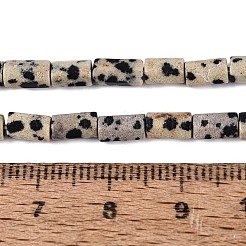 Natur Dalmatiner Jaspis Perlen Stränge&nbsp;GG-N002-01A-07