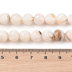 Natürlichen Süßwasser-Muschelperlen Stränge&nbsp;SHEL-T011-02-8mm