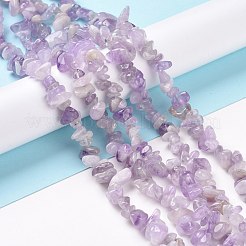 Natürliche Lavendel-Amethyst-Chip-Perlenstränge&nbsp;G-M205-35