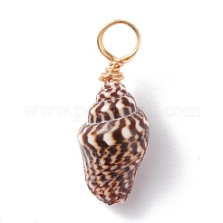 Pendenti shell naturale&nbsp;PALLOY-JF01164-02