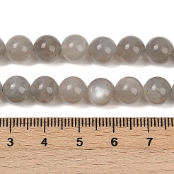 Natürliche graue Mondsteinperlenstränge&nbsp;G-G206-A01-8mm