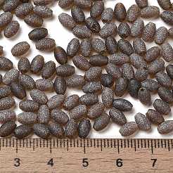 Perline di vetro di colori trasparenti&nbsp;SEED-F006-03A-08