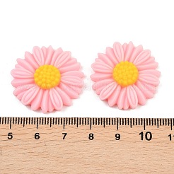 Undurchsichtigen Cabochons&nbsp;LS-RESI-XCP0002-48