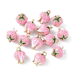 Charms smalto ottone&nbsp;KK-G462-30LG