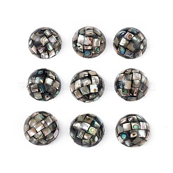 Synthetische Abalone-Muschel-/Paua-Muschelperlen&nbsp;SSHEL-K001-001A