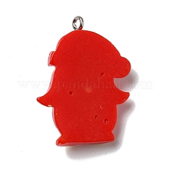 Pendentifs en résine opaque&nbsp;RESI-D055-004P