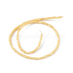 Brins de perles d'eau douce naturelles teints en coquille&nbsp;SHEL-M018-12-01
