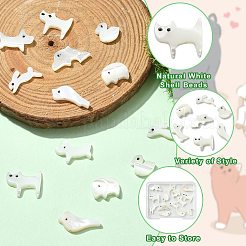 14 stücke 7 arten tier thema natürliche weiße muschel perlen sets&nbsp;FIND-CJ0004-74