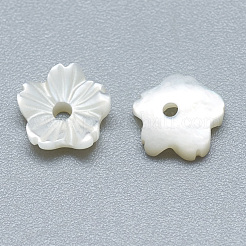 Natürlichen weißen Muschelperlen&nbsp;SSHEL-S260-011