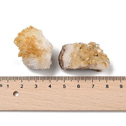 Décorations d'affichage de citrine naturelle&nbsp;G-H084-02B