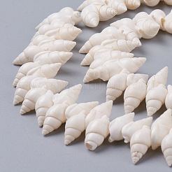 Spirale naturale perline shell fili&nbsp;X-BSHE-I016-07