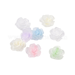 Leuchtende Decoden-Cabochons aus Harz&nbsp;RESI-K036-09B
