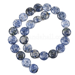 Natürliche blaue Fleck Jaspis Perlen Stränge&nbsp;G-L648-B08-15mm