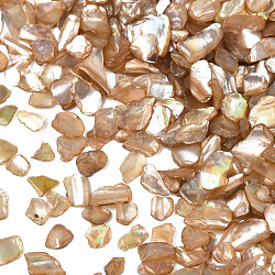 Natural Freshwater Shell Slices, For Nail Art Decoration Accessories, Dyed, Camel, 1~12x1~6x0.5~1.5mm