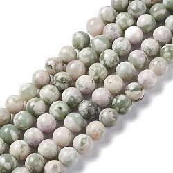 Chapelets de perles de jade paix naturelle, ronde, 6mm, Trou: 1mm, Environ 59~60 pcs/chapelet, 15.16~15.35 pouce (38.5~39 cm)