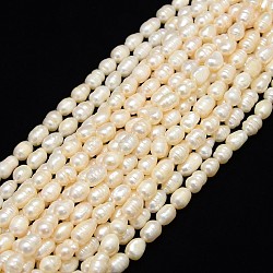 Natural Cultured Freshwater Pearl Beads Strands, with Screw Thread, Rice, Creamy White, 6~7mm, Hole: 0.8mm, about 36~38pcs/strand, 12.99 inch(33cm)