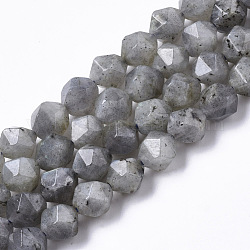 Natural Labradorite Beads Strands, Star Cut Round Beads, Faceted, 7~8mm, Hole: 1.2mm, about 46~50pcs/strand, 14.8~15.2 inch(37.5~38.5cm)