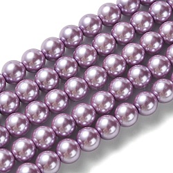 Eco-Friendly Glass Pearl Beads Strands, Grade A, Round, Dyed, Cotton Cord Threaded, Violet, 8mm, Hole: 1.2~1.5mm, about 52pcs/strand, 15.7 inch