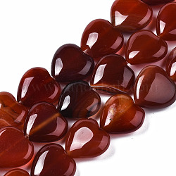 Chapelets de perles rouges en agate naturelle, cœur, 14~15x14~15x5~7mm, Trou: 1.2mm, Environ 26 pcs/chapelet, 14.76 pouce (37.5 cm)
