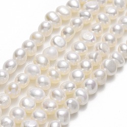 Brins de perles de culture d'eau douce naturelles, deux faces polies, linge, 5x5.5~6x4.5~5mm, Trou: 0.7mm, Environ 67 pcs/chapelet, 13.98'' (35.5 cm)