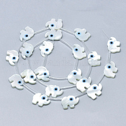 Natural White Shell Mother of Pearl Shell Beads, with Natural Turquoise, Elephant, Deep Sky Blue, 9x12x2mm, Hole: 0.5mm
