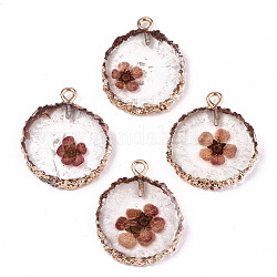 Resina epoxi transparente transparente y colgantes de flores secas, Con aros de hierro chapado en oro claro, plano y redondo, marrón rosado, 25~26x20~21x4.5mm, agujero: 1.8 mm
