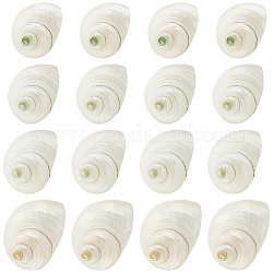 PH PandaHall 16pcs Natural Spiral Shell Beads, 0.8~1.1 Inch Mouth Turbo Seashells Undrilled Spiral Seashells NO Hole Shells for Home Party Wedding Decor Fish Tank Vase Filler, Antique White